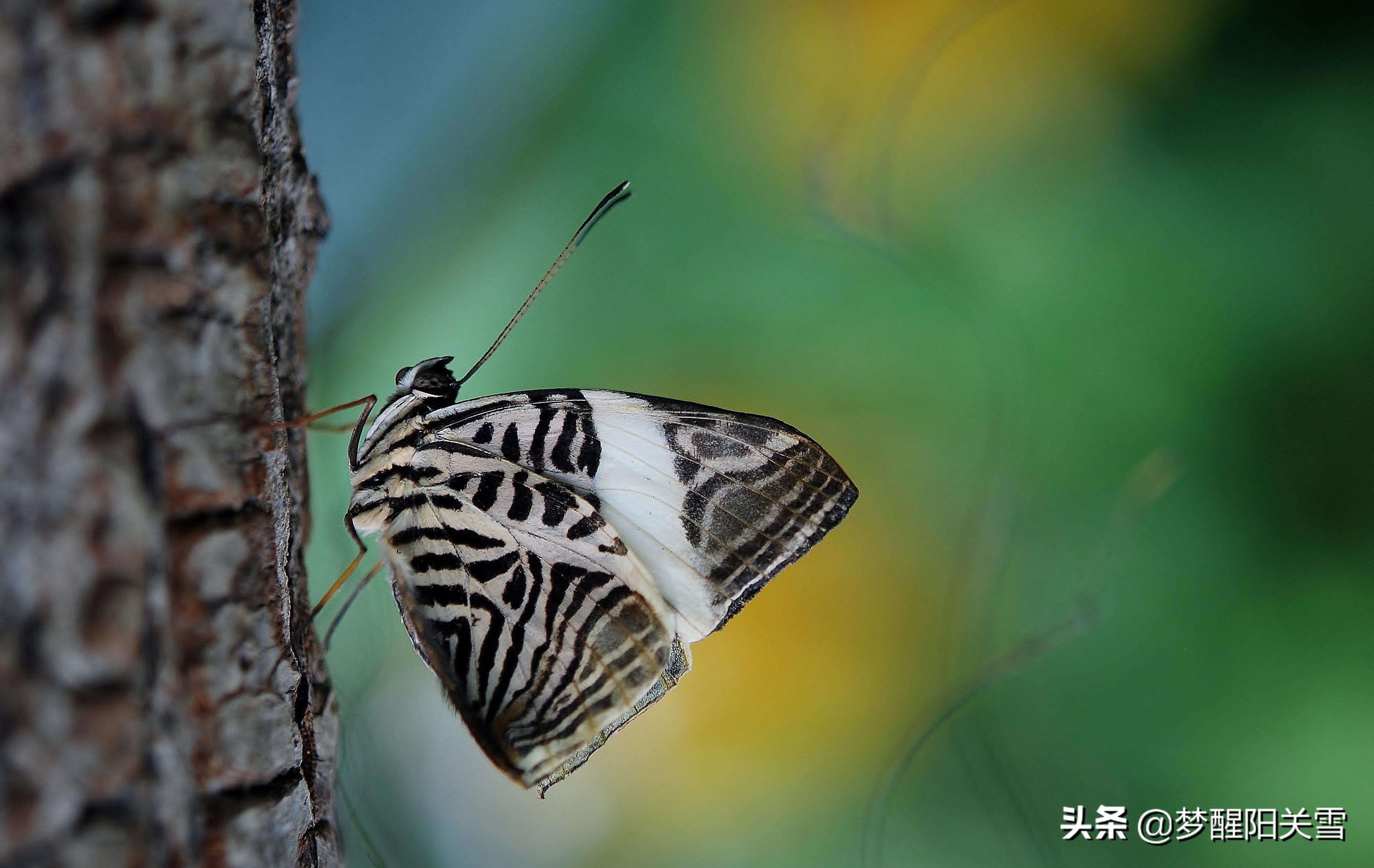 死水翻涌重生，绝境中迸发新生之力