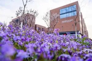 高考择校来天津！哏儿姐带你看南开大学