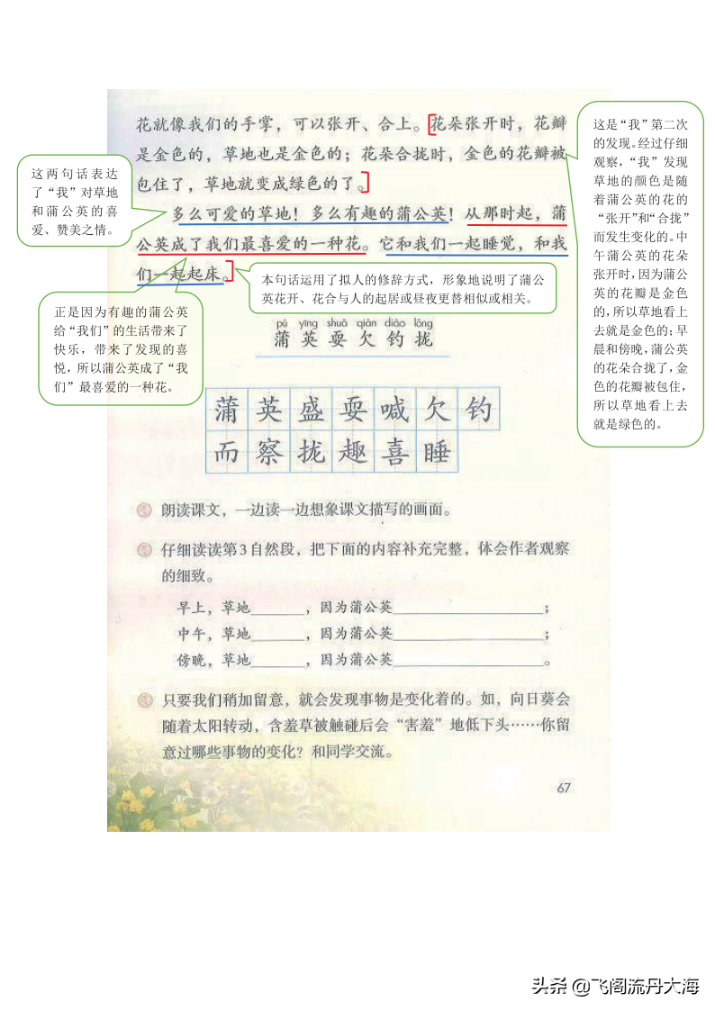 小学三年级上语文16课《金色的草地》课堂笔记、教案及练习题