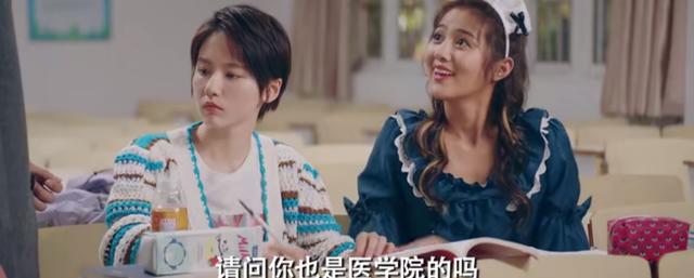 羊駝價格,羊駝價格是多少錢一只