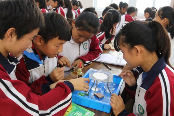 大批民办学校将改成公办？教育部给出明确回复，家长直言太好了