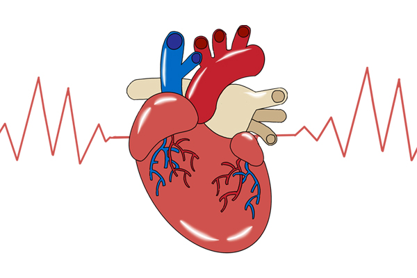 心率多少正常範圍內心跳快與心跳慢有啥不同