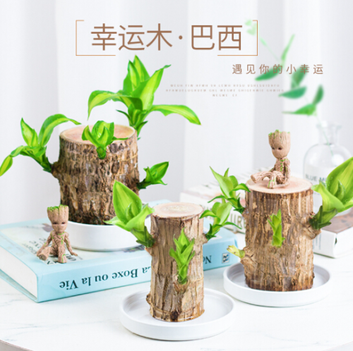 送男生最好的礼物（送男生什么礼物最实用）