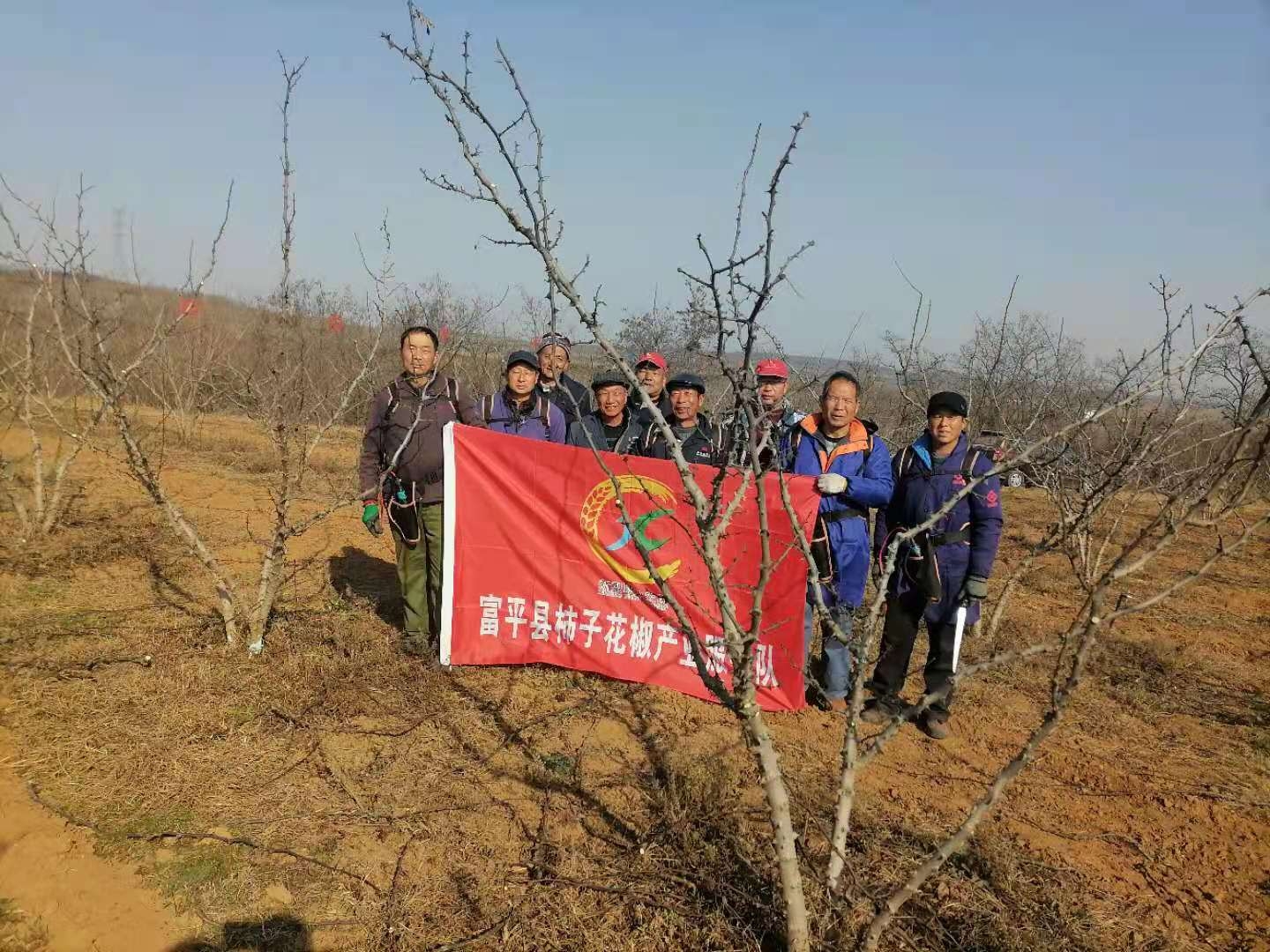 花椒树几月份发芽（细谈花椒树的生长习性规律）