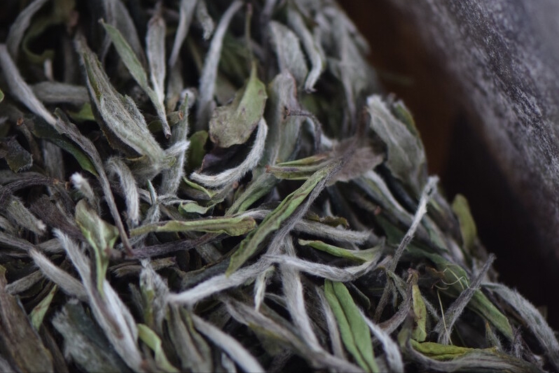 茶叶保质期多久？家中放了3年的普洱茶、红茶、白茶，还能喝吗？