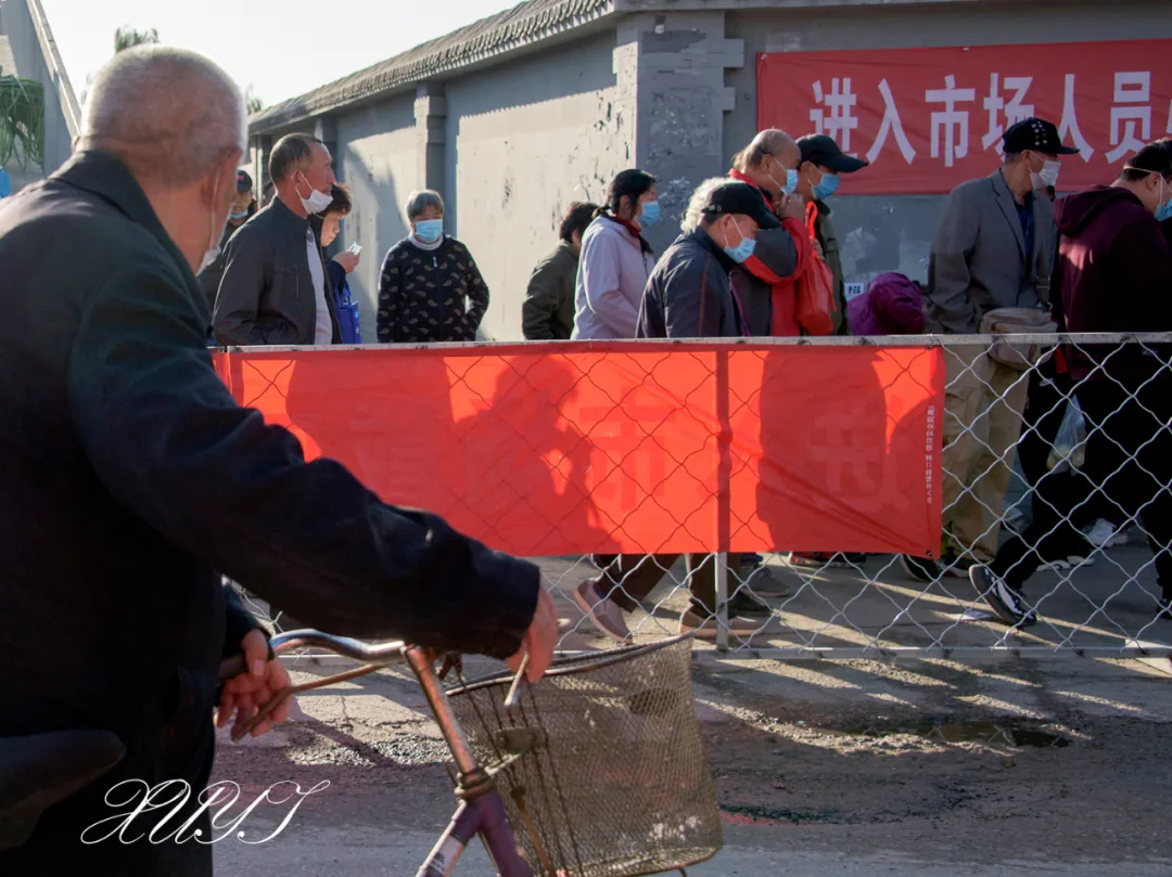 津门网徐屹：北京沙河集市中的宠物市场