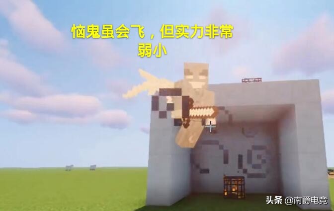 我的世界：六种带有翅膀的生物，超过一千万玩家只见过其中5个！