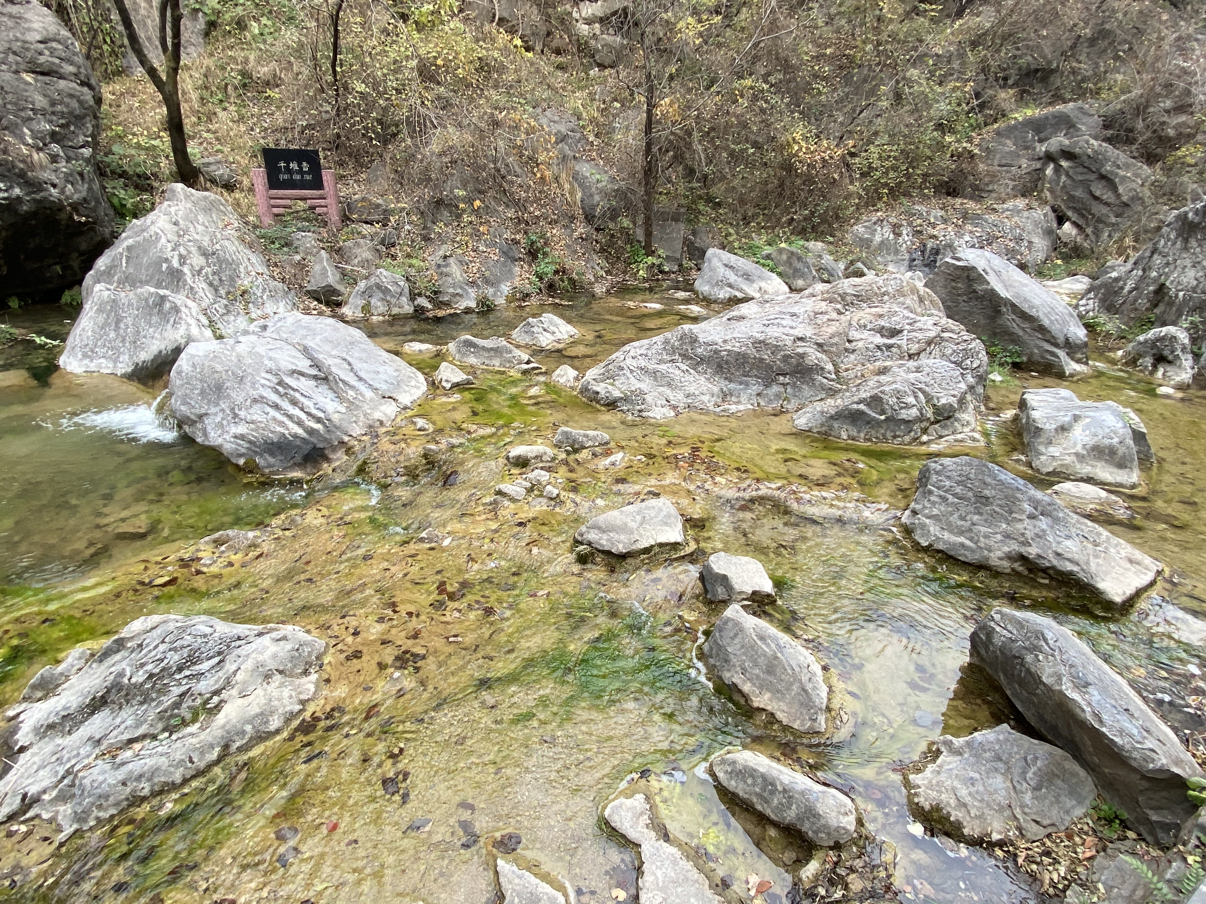 初冬，我在云台山潭瀑峡凝听飞瀑流泉的天籁之音