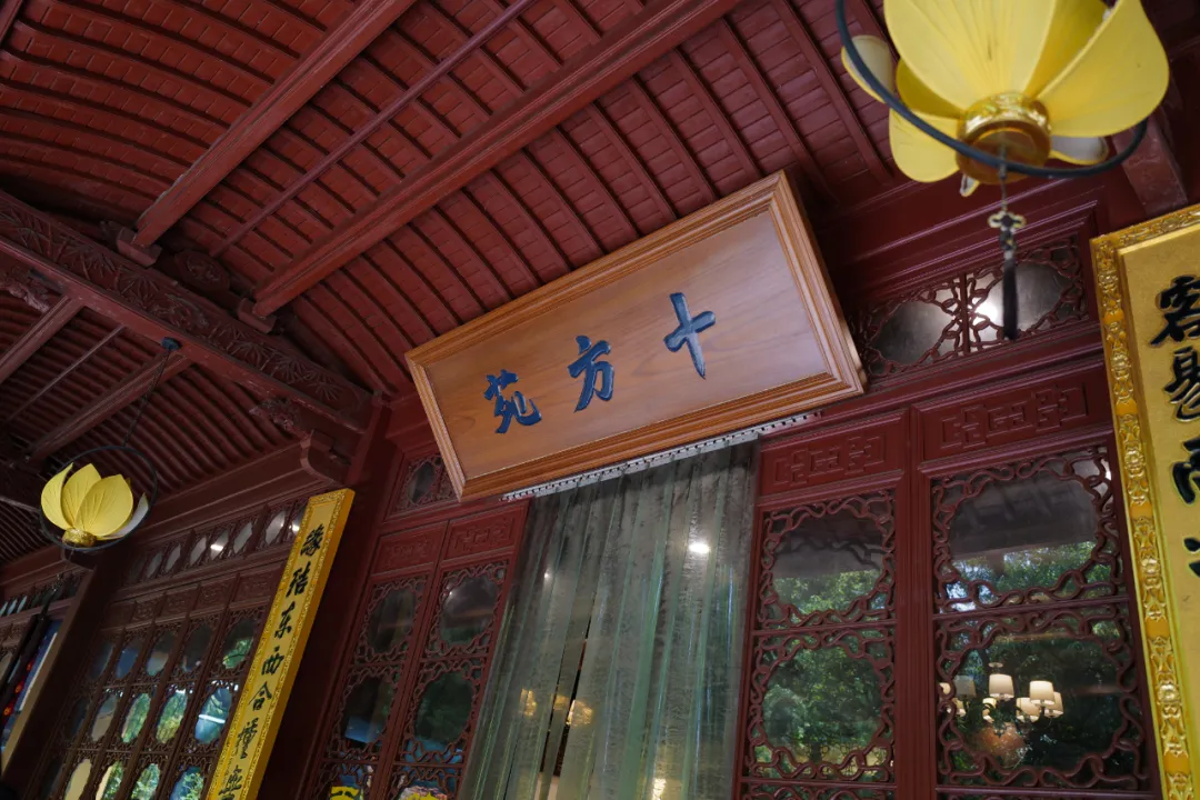 杭州素食餐厅:在一个没有肉的世界,我竟然也能吃到上瘾
