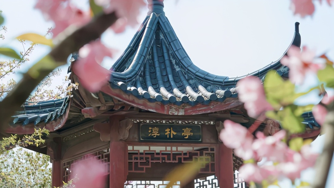 高清大图惊艳来袭！或许，“她”就是南京大学最美校花！