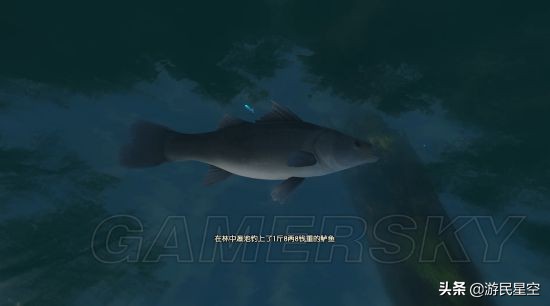《古剑奇谭3》图文攻略——第一章-林中迷阵