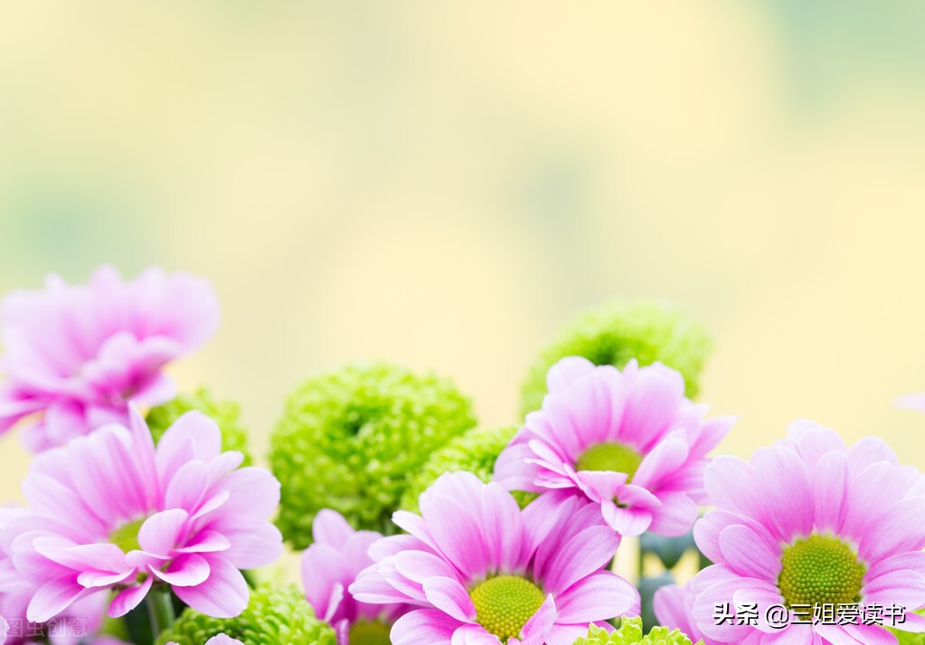 出于无奈，实难答应，还望理解