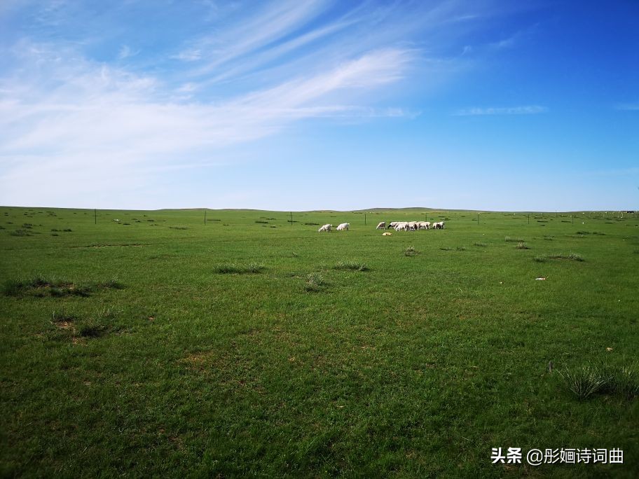 花在草原诗在心：金秋内蒙之旅古典诗词曲拾零悠情