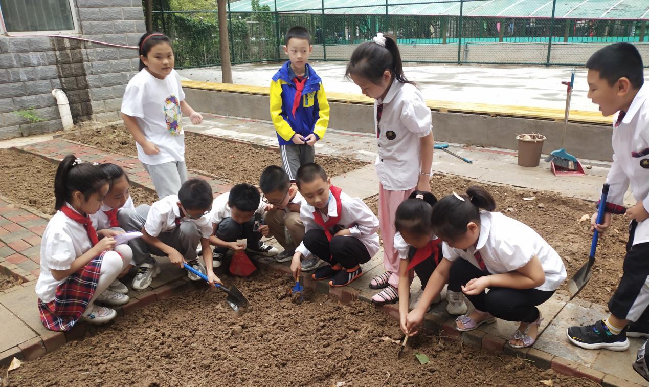 对接“双减提质”路 精耕“综合实践”田——石家庄市金马小学教育集团双减实施工作案例