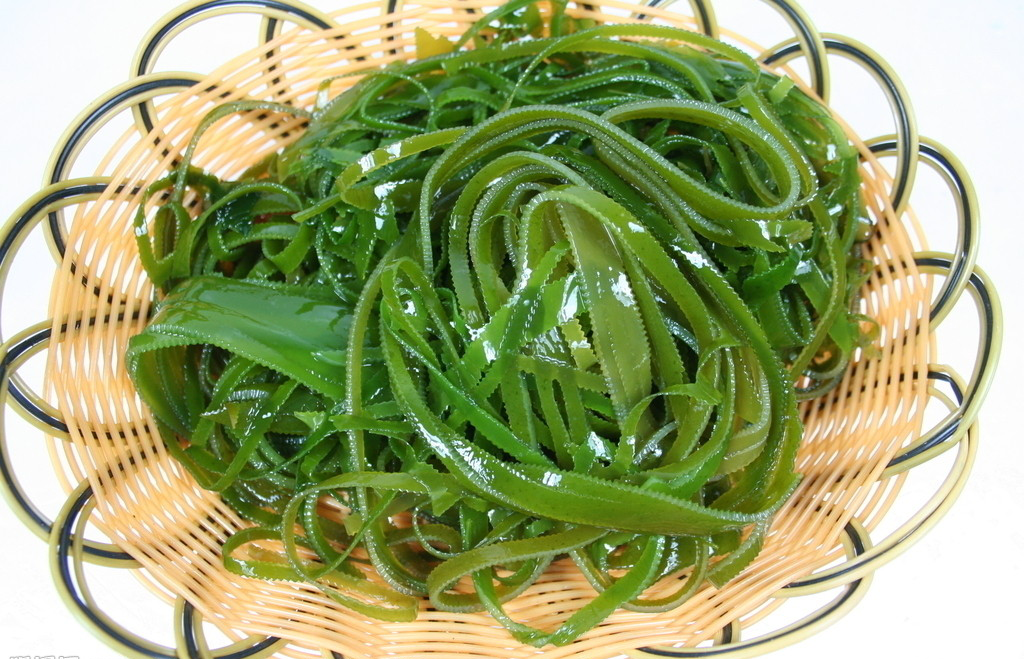 狗吃什么好（带你了解十种狗能吃的人类食物）