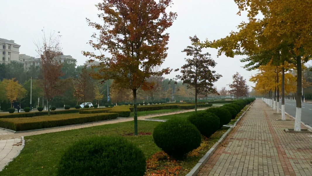 2021年中国大学语言类排行，天津外国语大学和川外不够格进前十吗