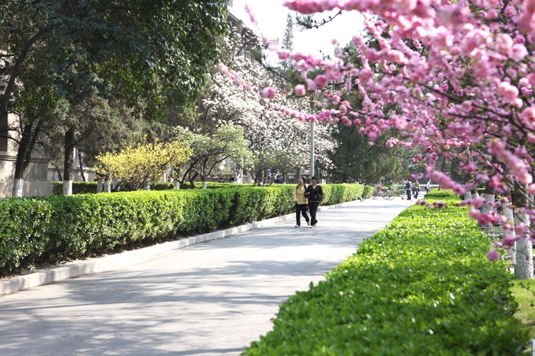 陕西师范大学2016-2018录取分数