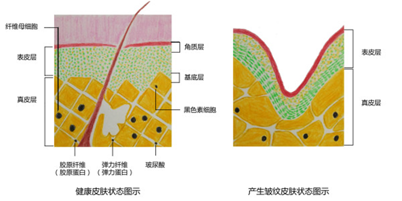 想要美容还是毁脸？手把手教你挑面膜，绝不踩雷还原婴儿肌肤