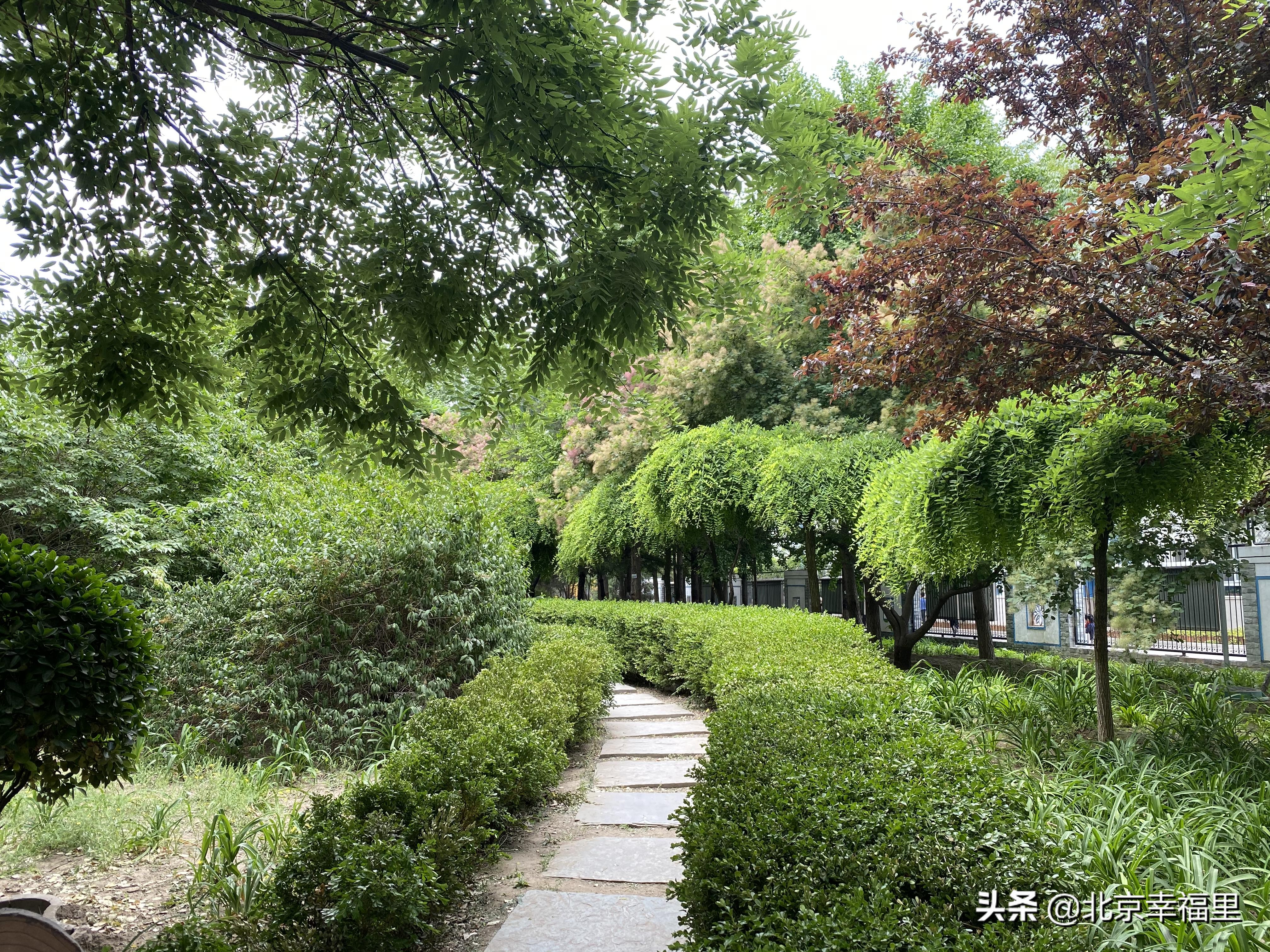 开门见绿、出门看花，城南这个花园式小区你喜欢吗？