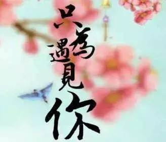 好想与你执手不离，共度风雨岁月长；无论贫富病痛，爱意永不变。