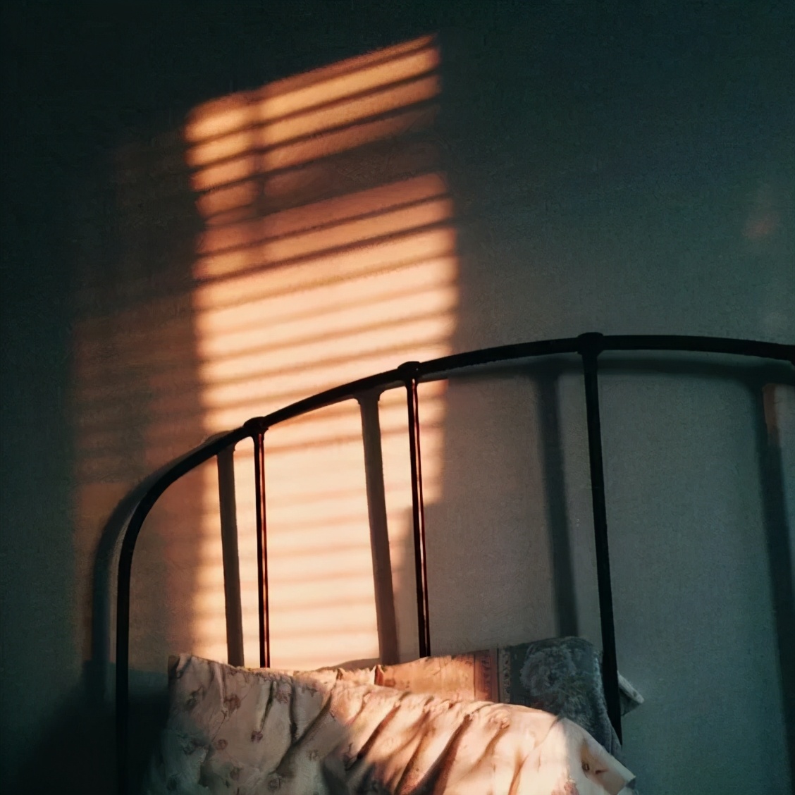 准备好你每年开支25倍的钱，就可以提前退休了？丨FIRE生活的研究