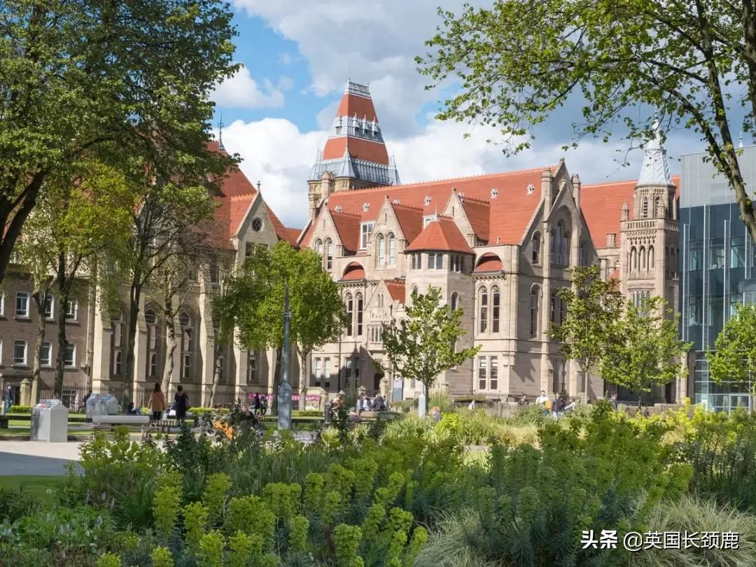 2021泰晤士大学影响力排名公布：曼大夺冠！世界前50英国占11所