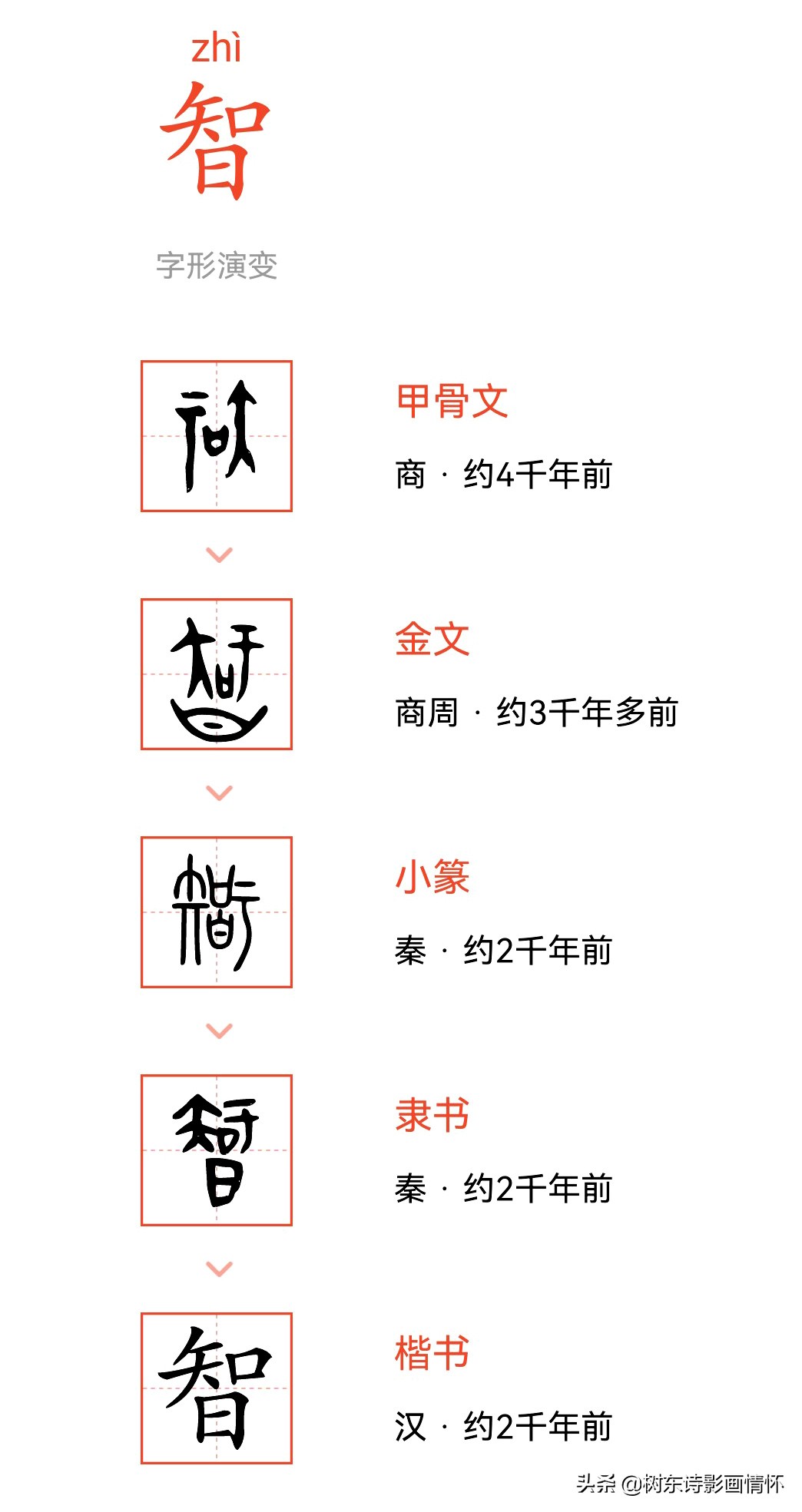 "智"字的前世今生,"聪明睿智,守之以愚"的处世之道