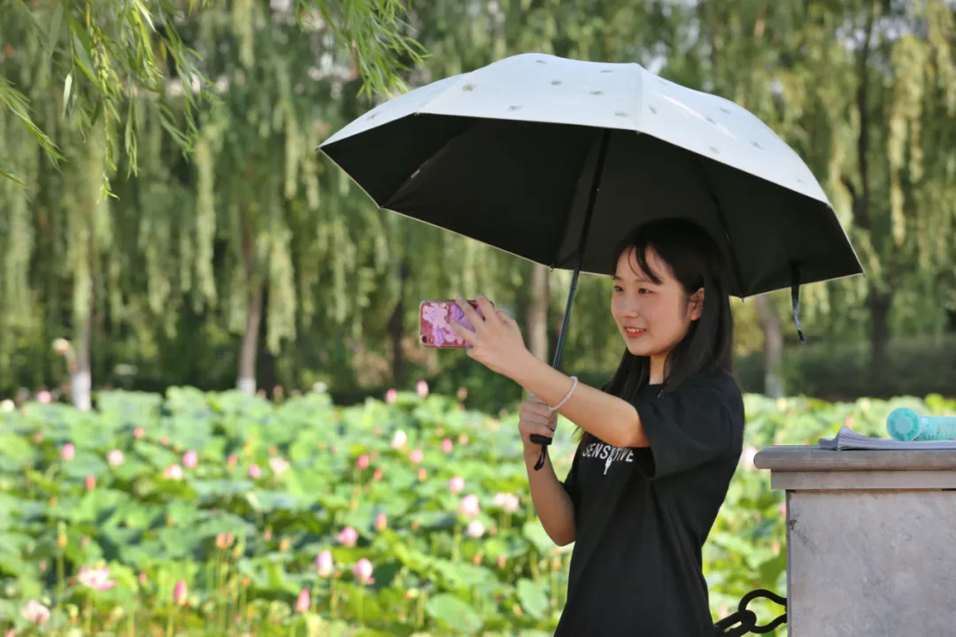 “荷”你相约！焦作赏荷好去处在这里~