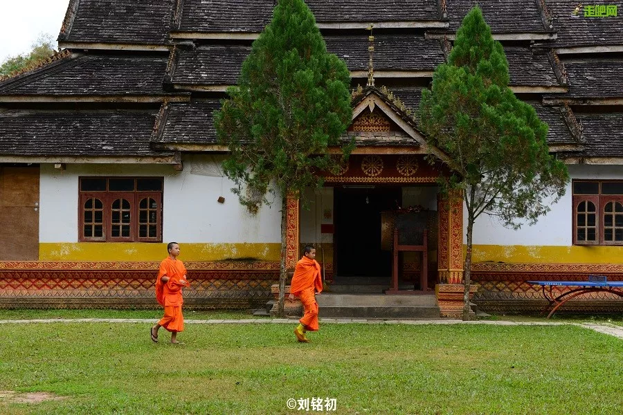 沿途皆如天堂!这10条深秋路线,去过一半就邂逅中国大半的美