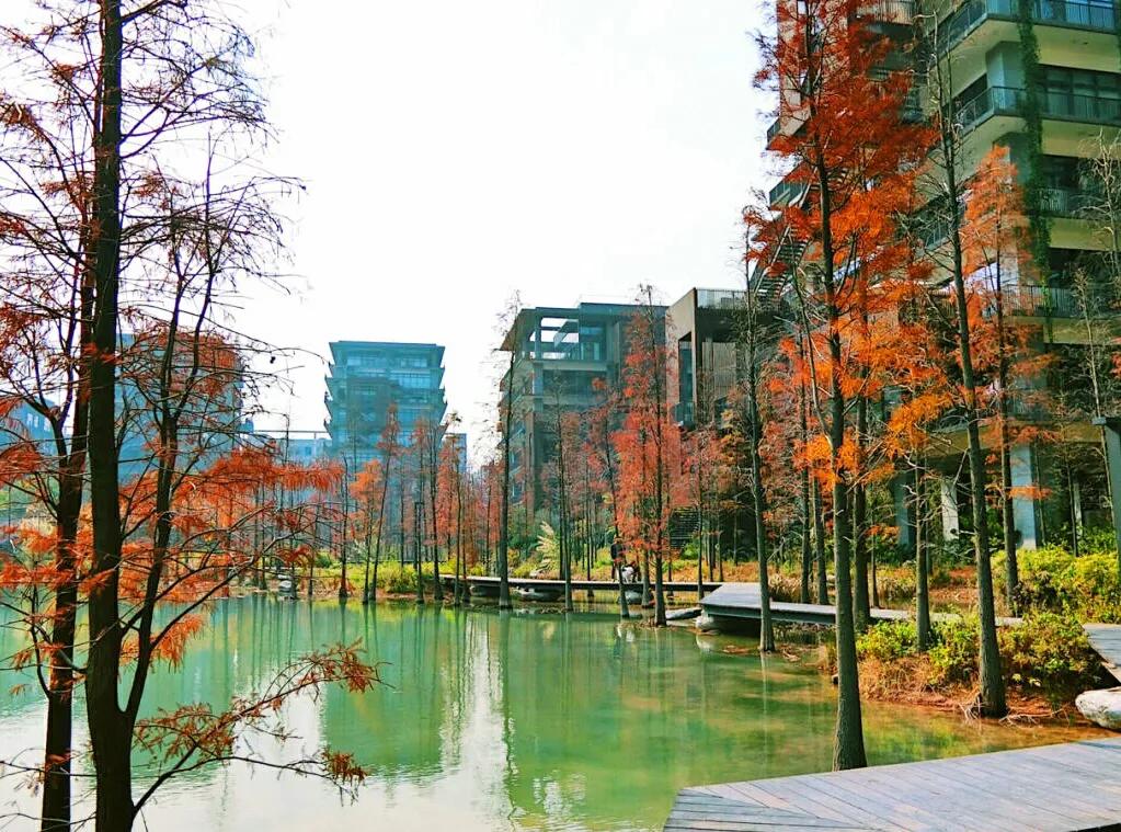 深圳7个景点好玩又免费，小众文艺，有地铁直达，却少有游客知道