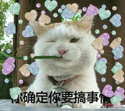 猫咪表情包：要做大哥的女人吗