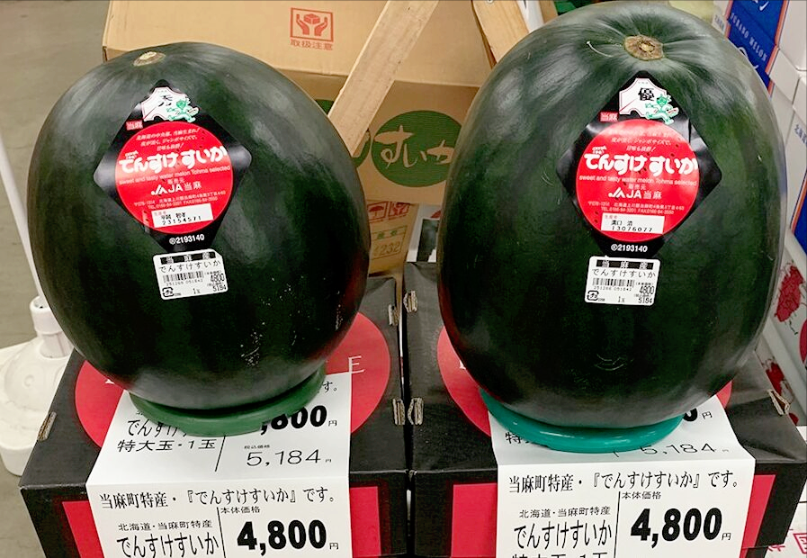 田助黑皮西瓜是世界上最贵的西瓜,它生长于日本北海道旭川县.