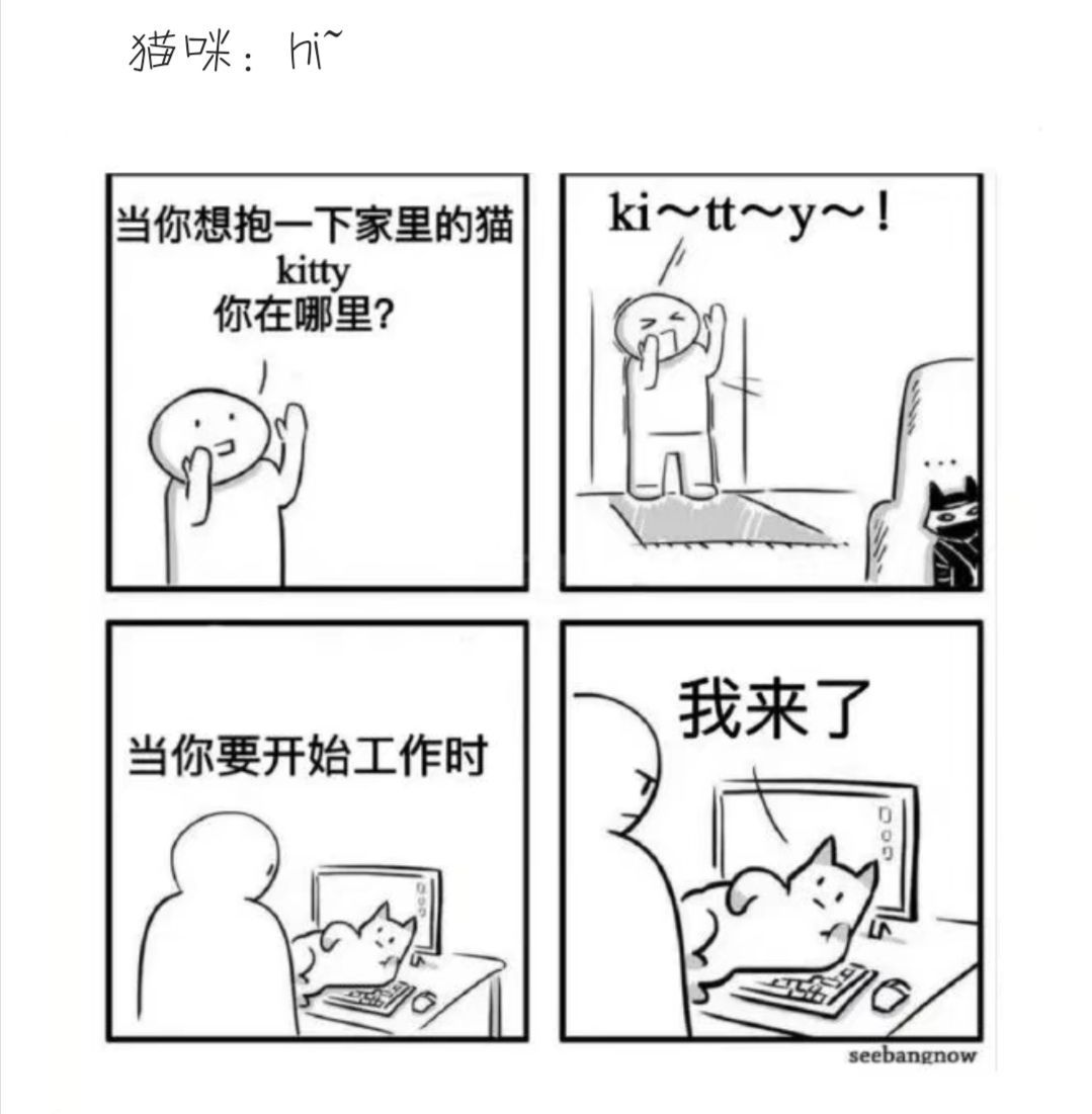 “神口误：麻烦来一箱雪花亡命天涯”
