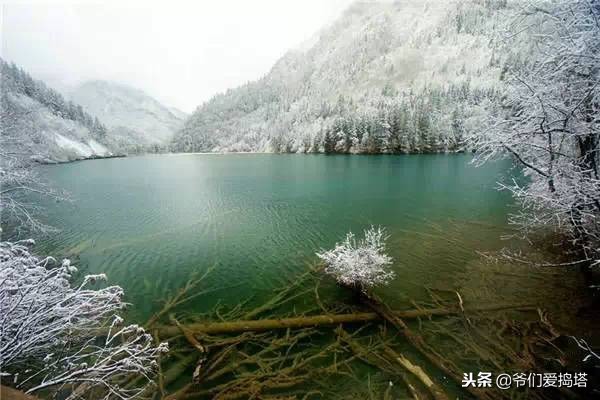 红墙，白雪，琉璃瓦，大雪压青松