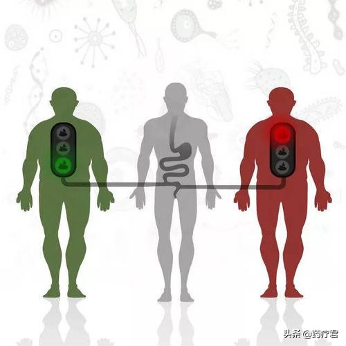 经常好几天不排便，也没有便意，粪便都去哪了？你可能没注意这些