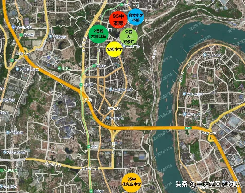 中考成绩直逼七龙珠！大渡口遗珠，重庆95中详细情况汇总