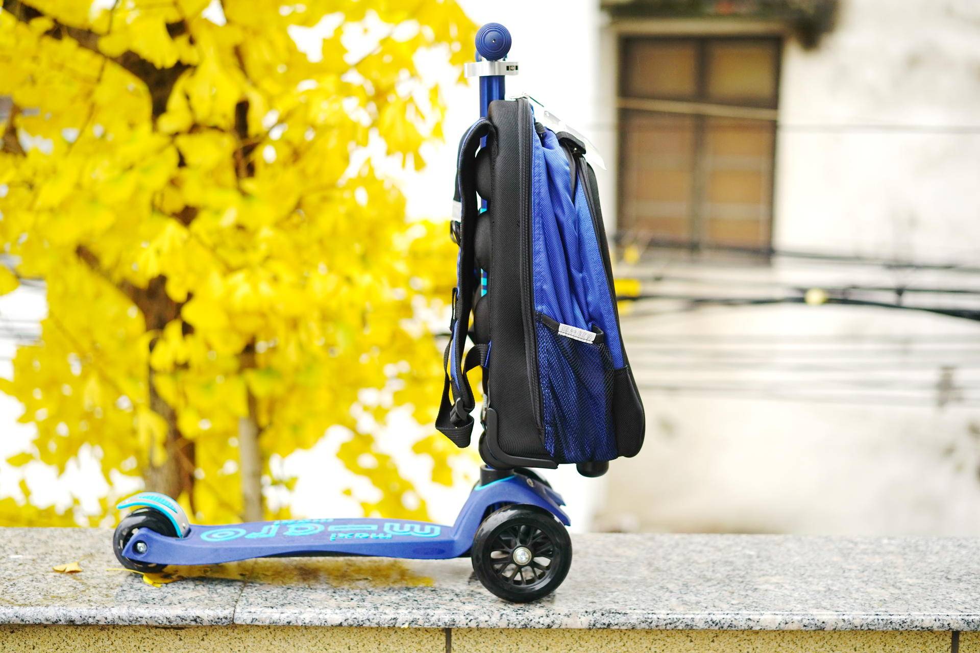 双脚滑板车价格及图片(终于挑到了一辆适合孩子滑板车) - 价格百科