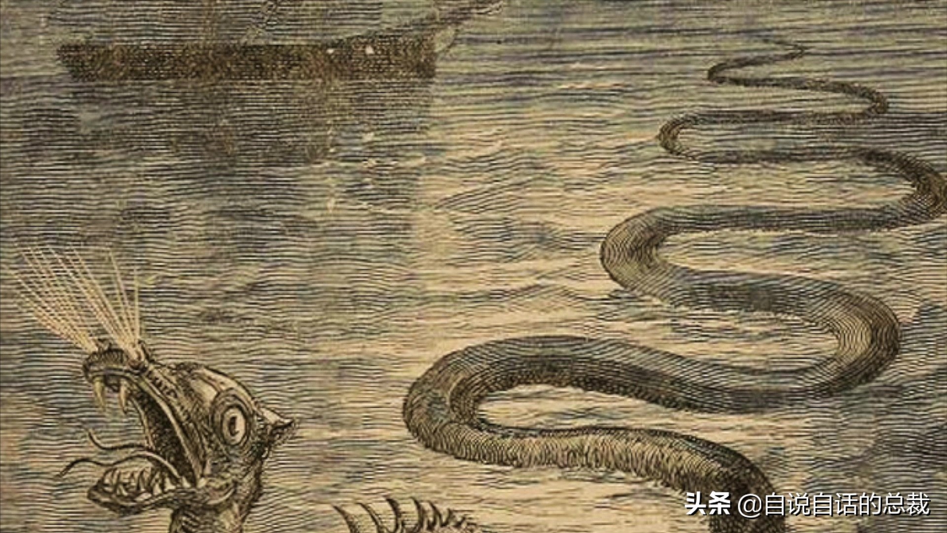 5种比巨齿鲨还恐怖的海怪，背后隐藏着一个人类起源的故事