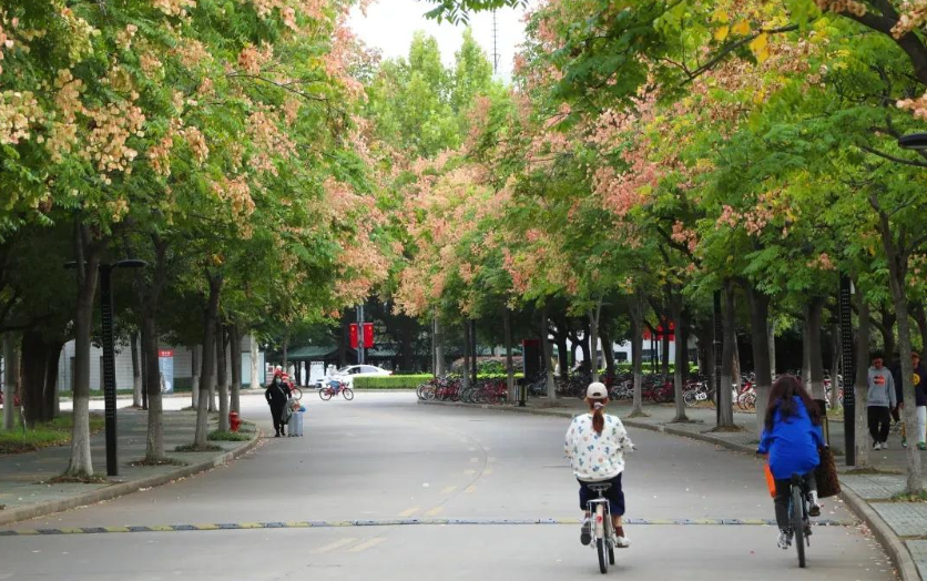 淮阴师范学院2016录取分数线（江苏这两所师范大学）