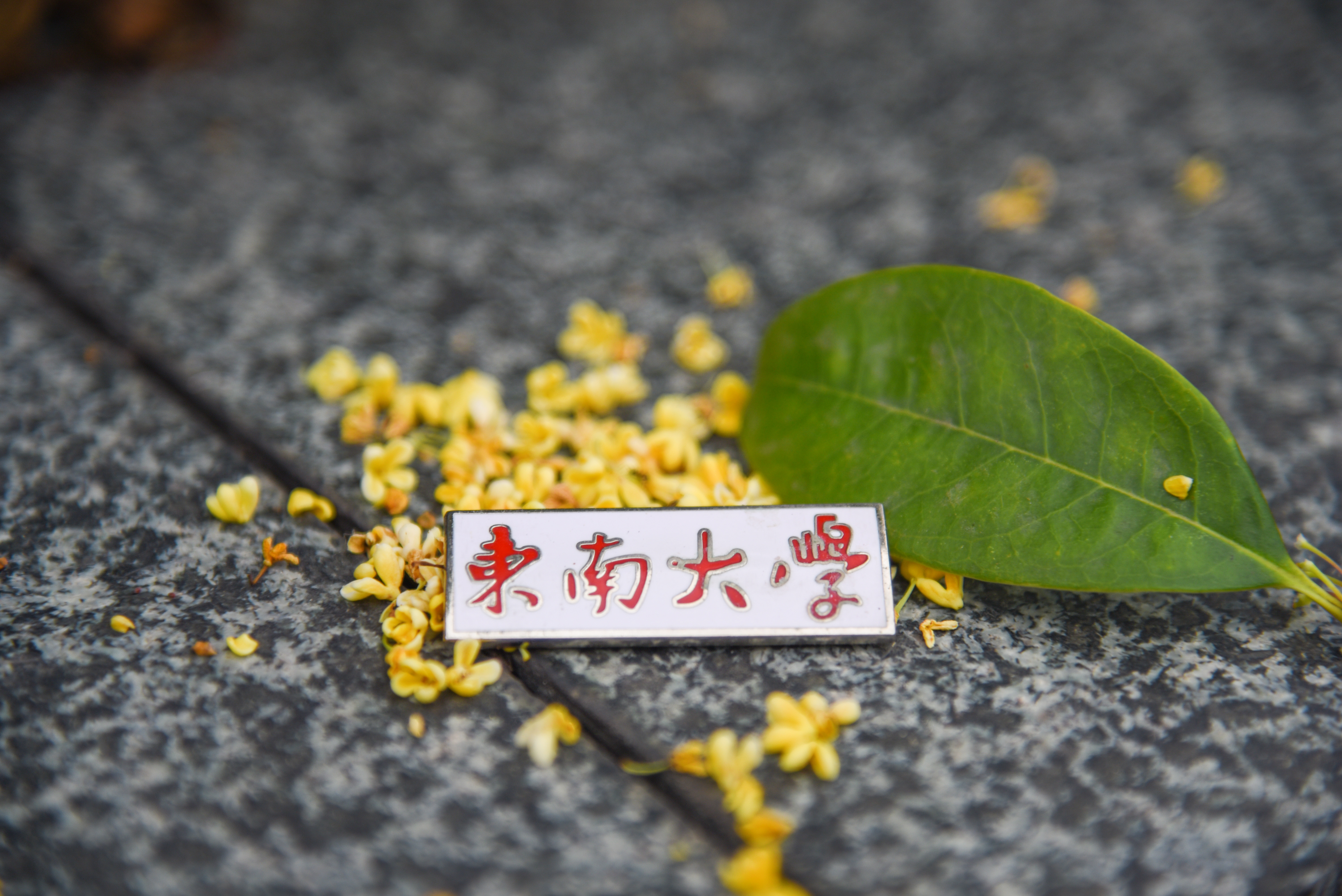 东南大学：我不是“福建大三本”