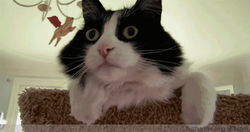 我卧底巫师聚集地，发现2020年还有那么多人在学魔法