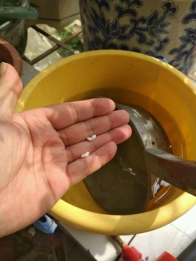 自制钾肥(家里什么东西可以自制钾肥) - 氨基酸肥料