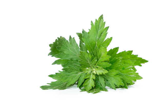 十种农村常见中药材，有的价值过万元一斤，遇到别错过