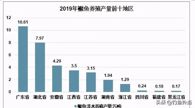 松花江鳜鱼的无奈，在松花江里有名无实，只能南下迁移求生存？