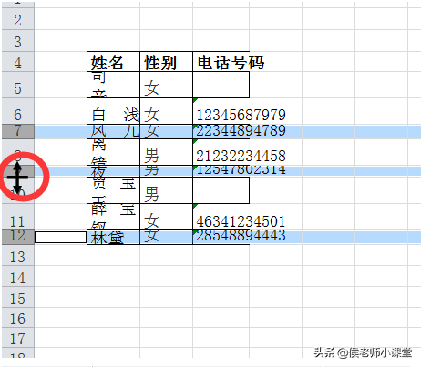 办公软件操作技巧012：如何调整excel表格的行高与列宽
