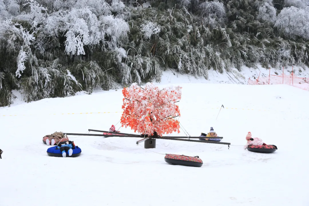 冬雪落下的刹那，金佛山美成了童话！