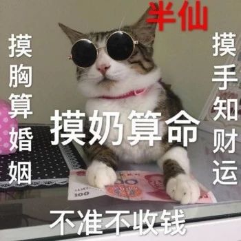 性感猫咪，在线陪聊