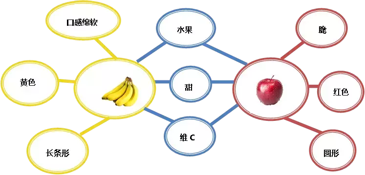 气泡图的特点与用途图片