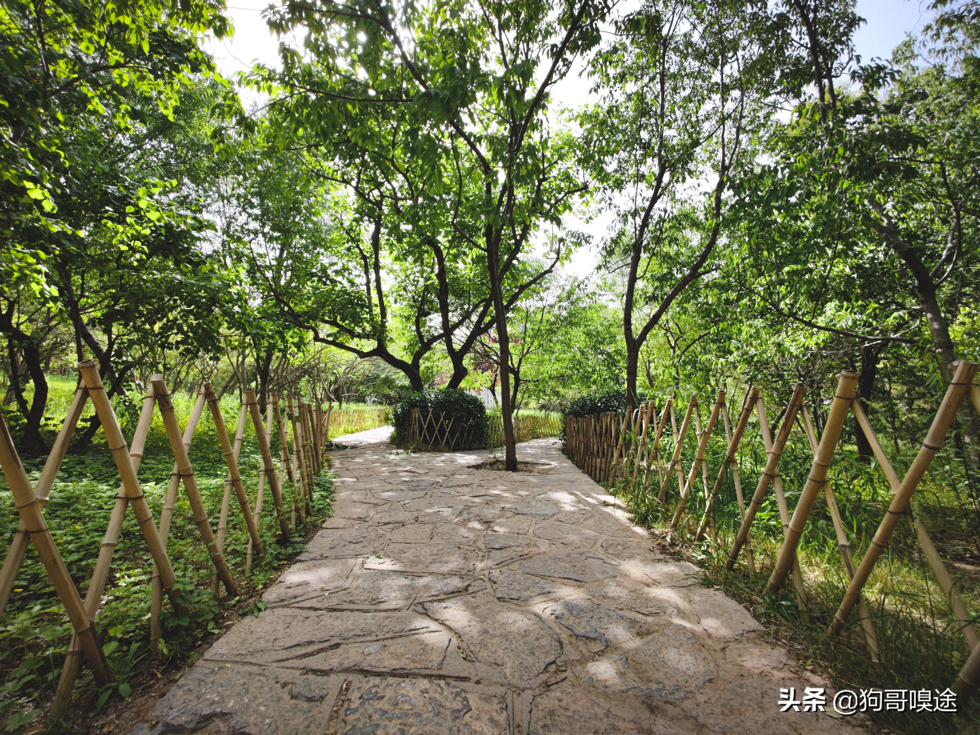 济南市区南部有座千年名山，是济南的地标景点，可以俯瞰市区全貌