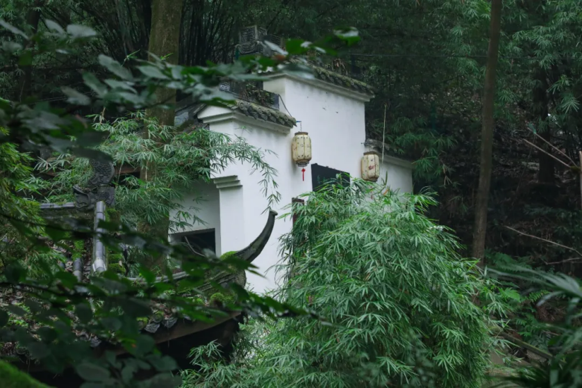 占地2390余亩，重庆这所大学美到被央视新闻